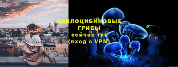 амф Каменка