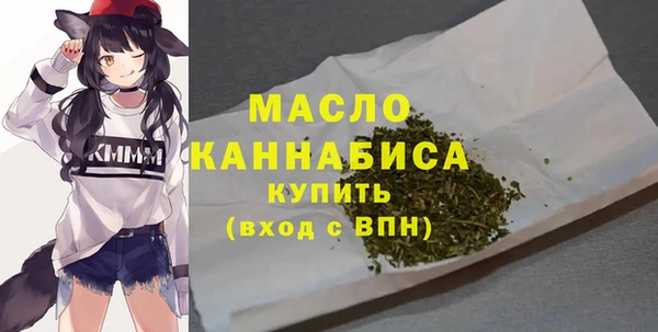 амф Каменка