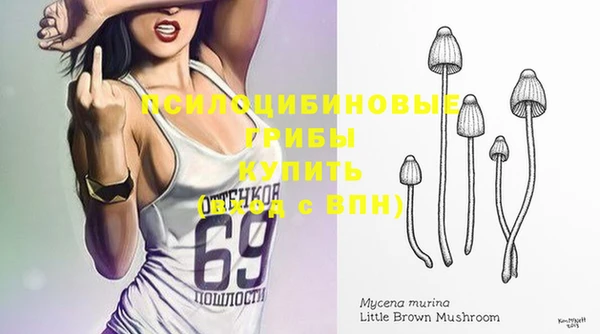 мескалин Каменск-Шахтинский