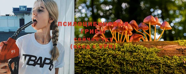 мескалин Каменск-Шахтинский