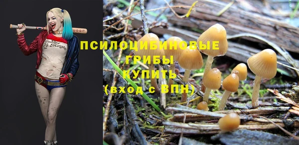 амф Каменка