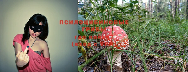 амф Каменка