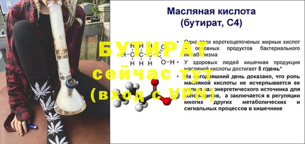 амф Каменка